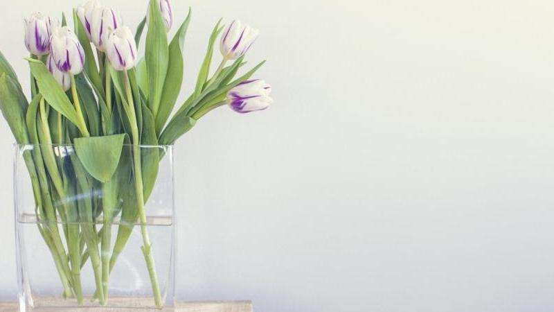 揭示进行Facebook推广所需的关键因素