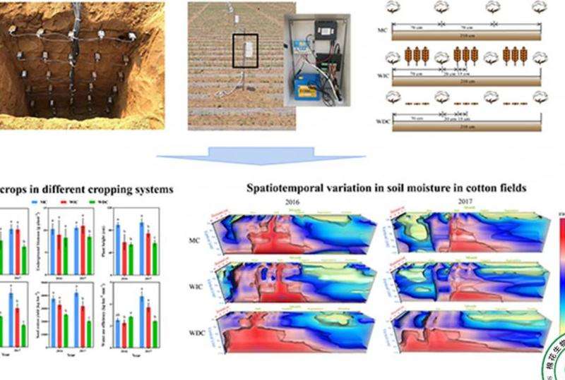 揭示不同人群在Facebook上的共同点和相似之处